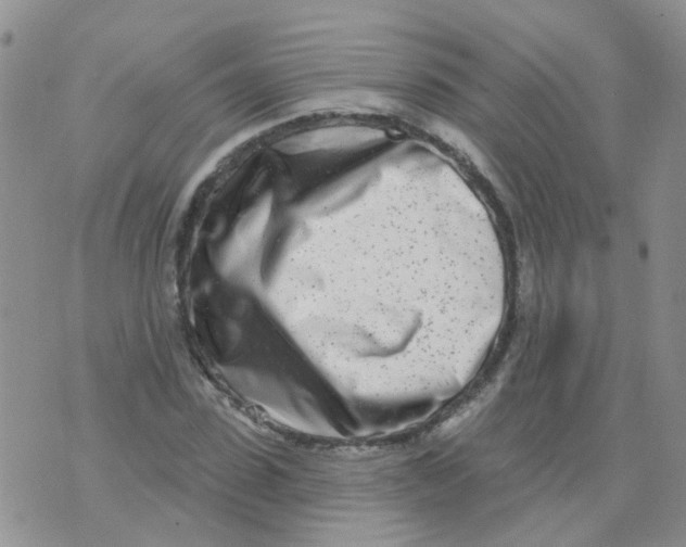 X0000073910923200609082209
