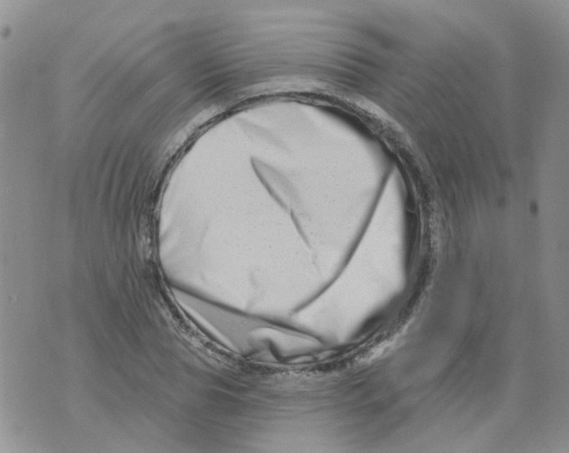 X0000073910929200609082209