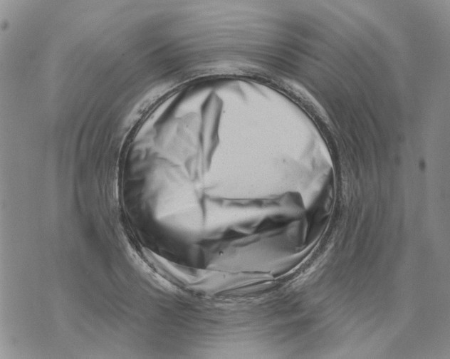 X0000073910938200609082209