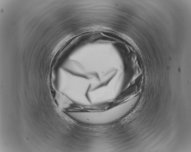 X0000073910946200609082209