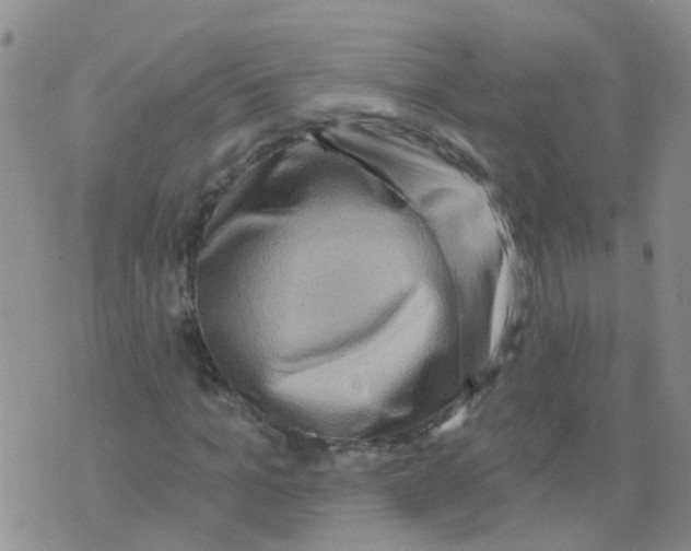 X0000073910965200609082209