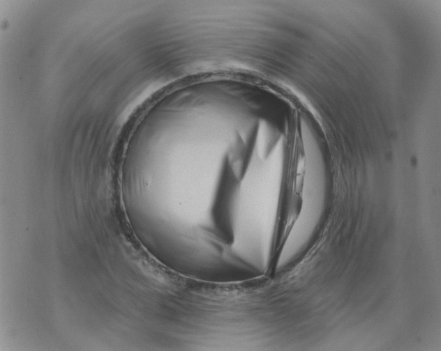 X0000073910975200609082208