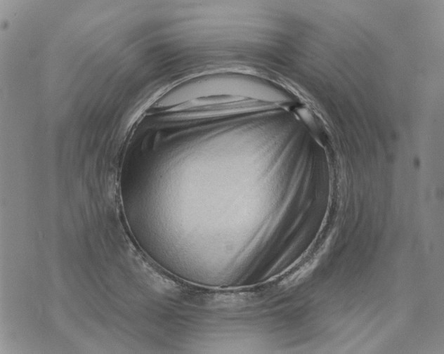 X0000073910985200609082208