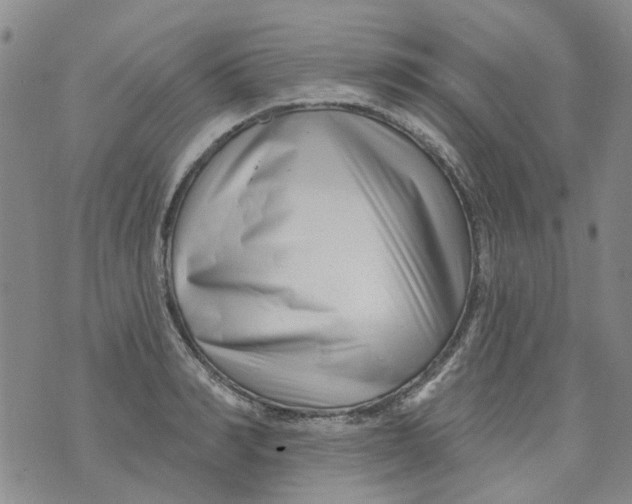 X0000073910990200609082208