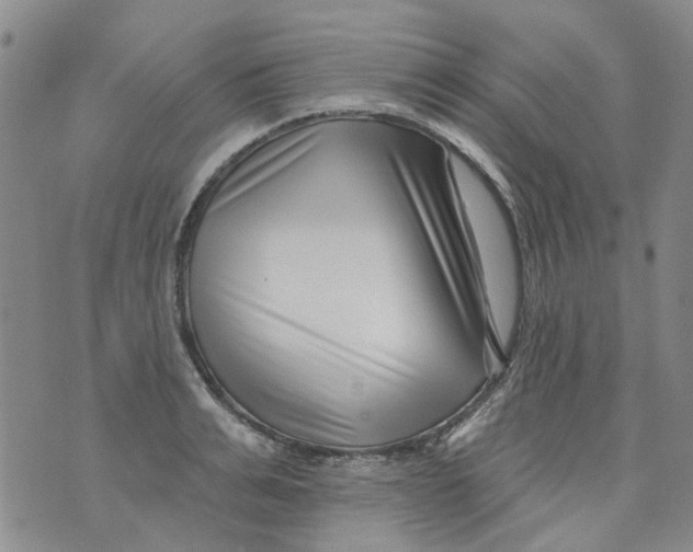 X0000073910991200609082208