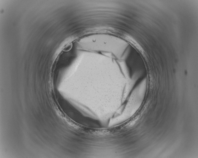 X0000073910994200609082208