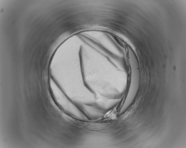 X0000073911007200609082208