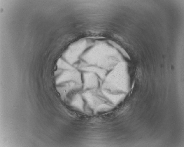 X0000073911009200609082207