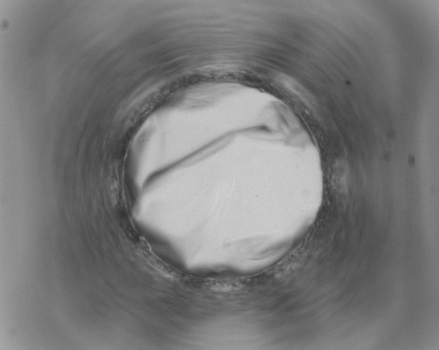 X0000073911015200609082207