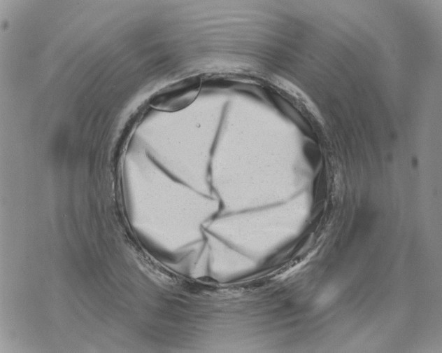 X0000073911027200609082207