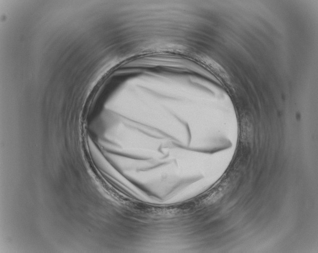 X0000073911039200609082208