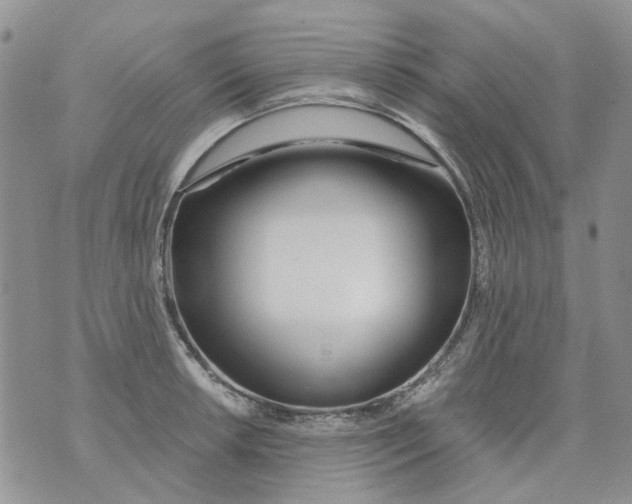 X0000073911042200609082208