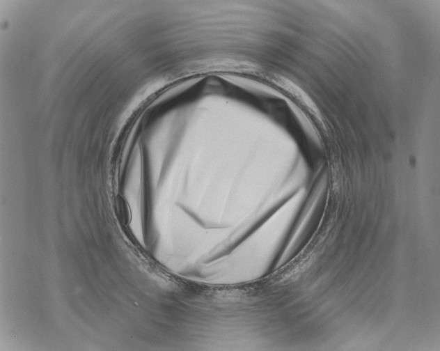 X0000073911043200609082208