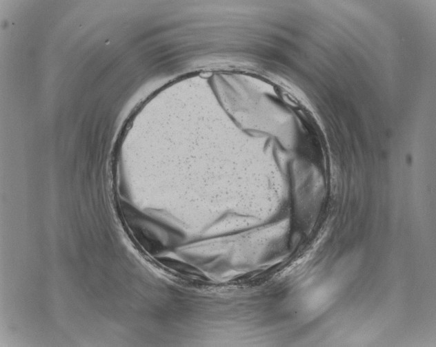 X0000073911045200609082208