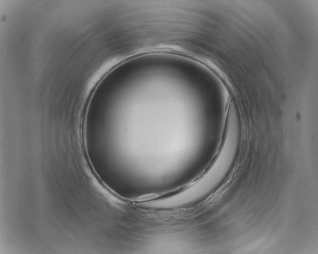 X0000073911054200609082208