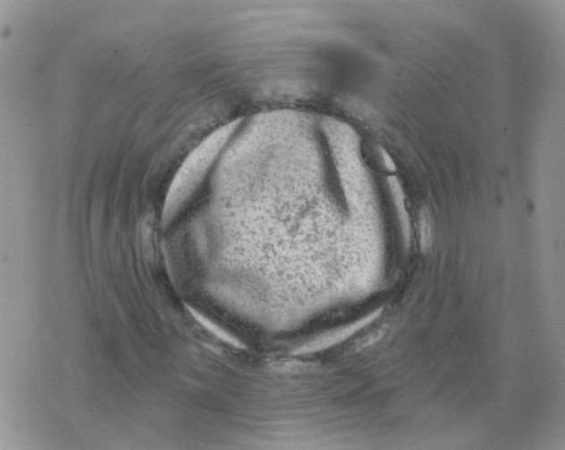 X0000073911059200609082207