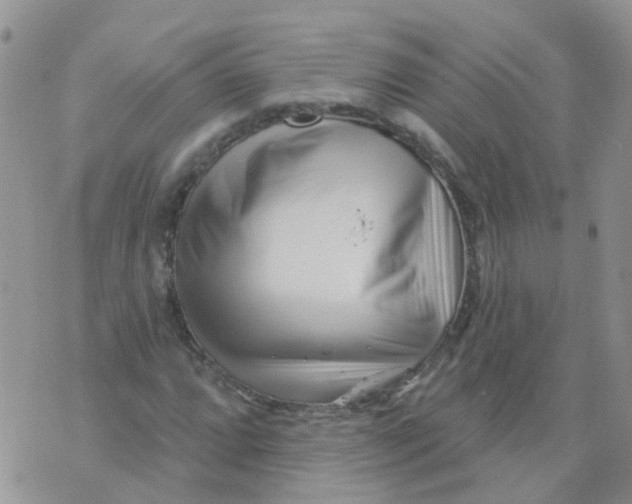 X0000073911064200609082207