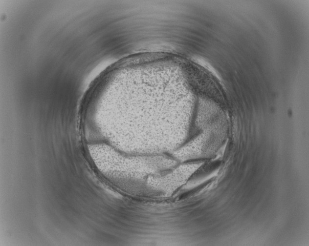 X0000073911071200609082207