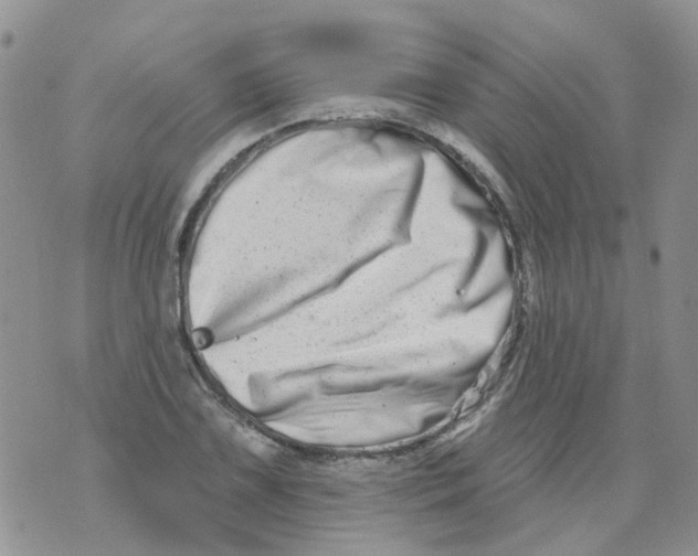 X0000073911075200609082207