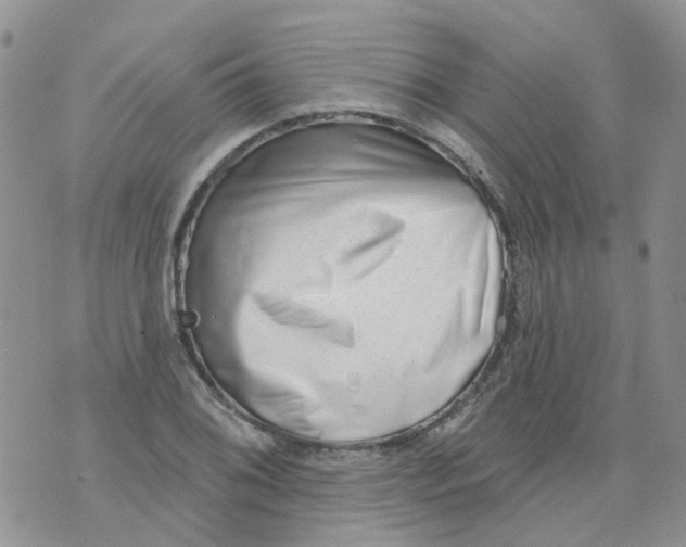 X0000073911076200609082207