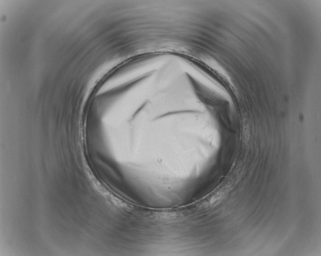 X0000073911088200609082207