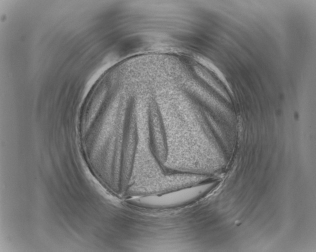 X0000073911091200609082207