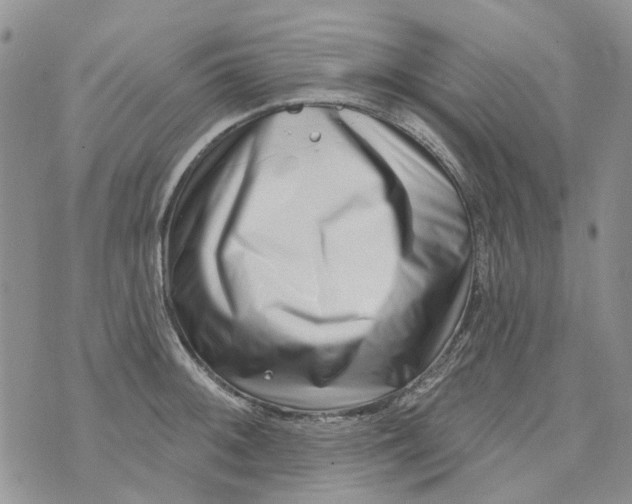 X0000073911092200609082207