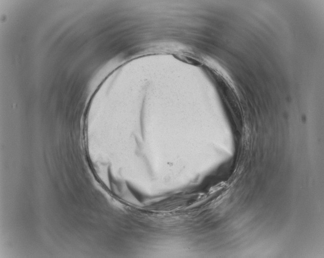 X0000073911103200609082206