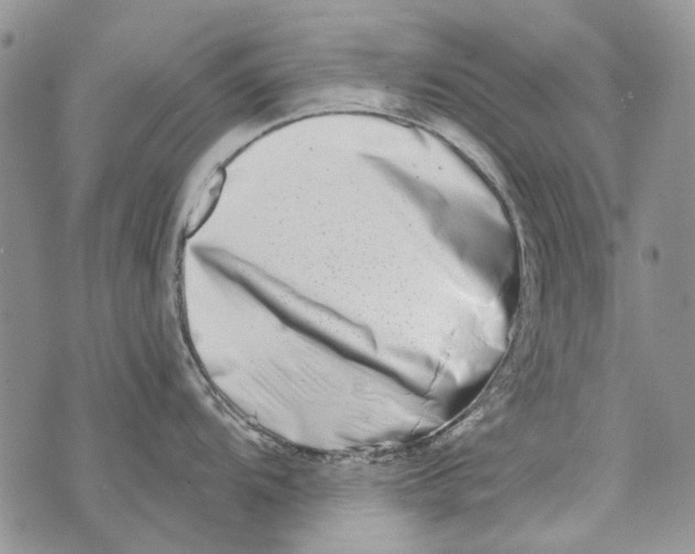 X0000073911104200609082206