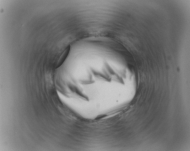 X0000073911106200609082206