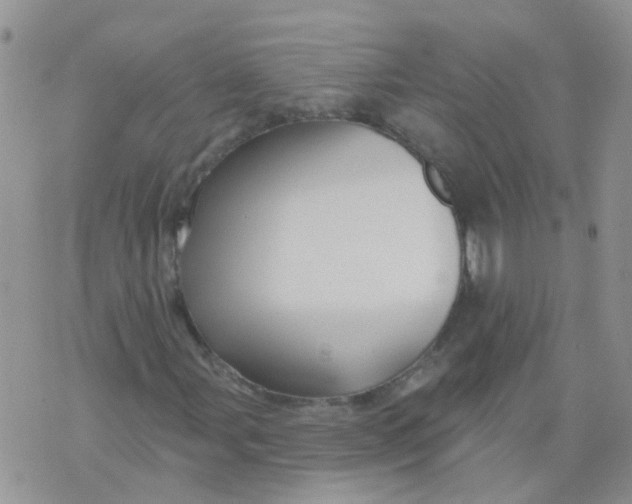 X0000073911107200609082206