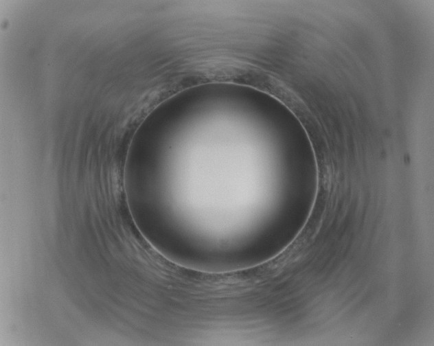 X0000073911108200609082206