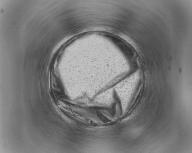 X0000073911127200609082206
