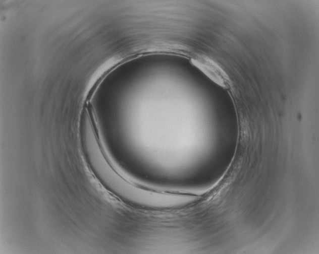 X0000073911138200609082206