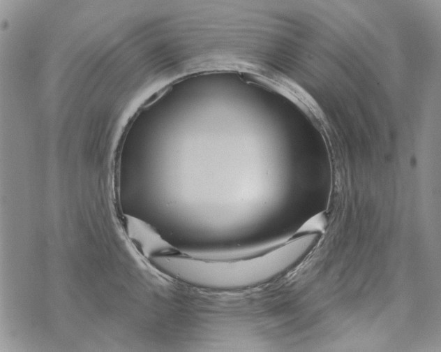 X0000073911144200609082206
