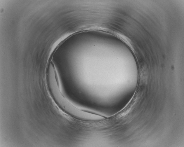 X0000073911149200609082206