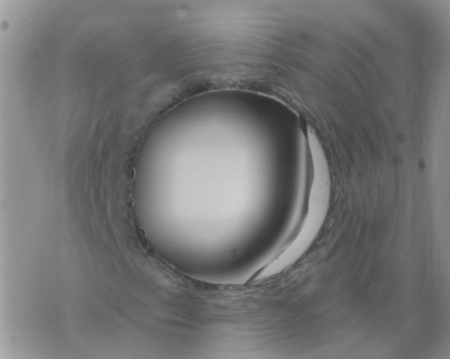 X0000073911153200609082206