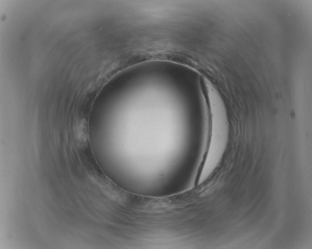 X0000073911156200609082206