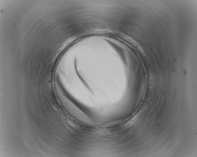 X0000073911170200609082205