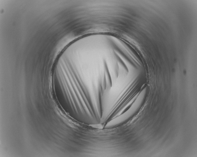 X0000073911179200609082205