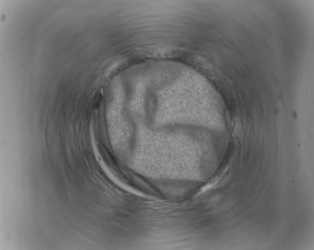 X0000073911202200609082204