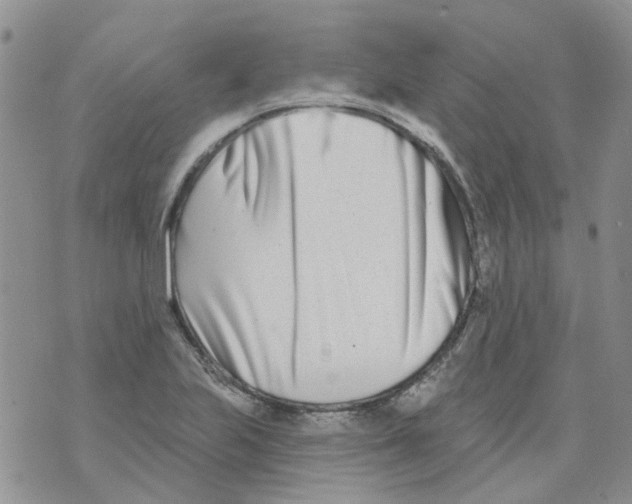 X0000073911223200609082204