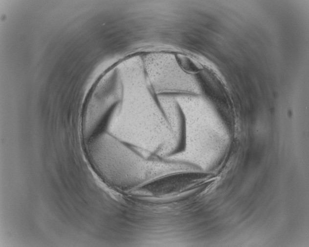 X0000073911231200609082205