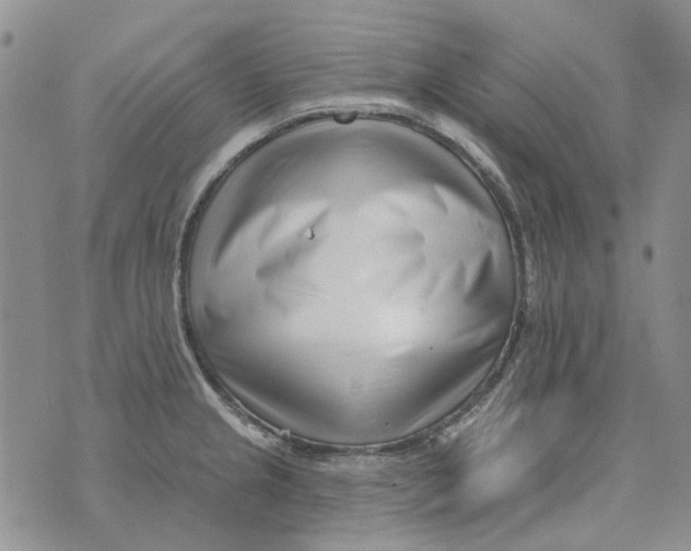 X0000073911237200609082205