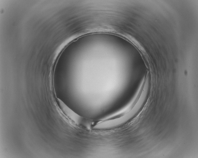 X0000073911246200609082205
