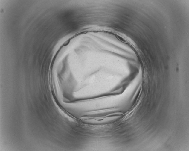 X0000073911247200609082205