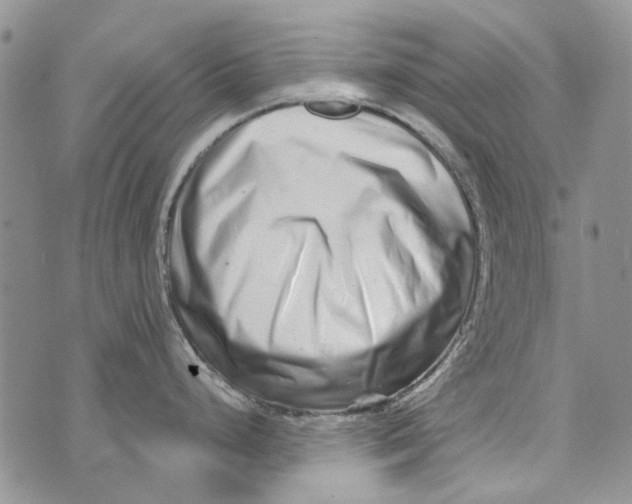 X0000073911248200609082205