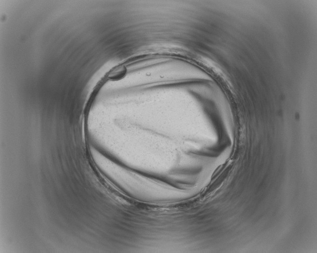 X0000073911275200609082204