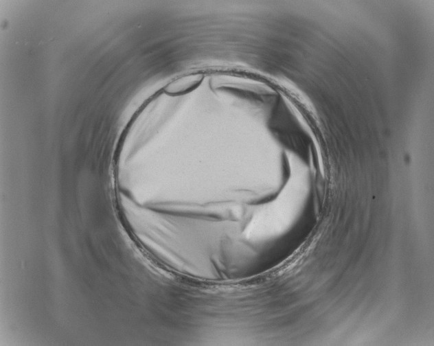 X0000073911287200609082203