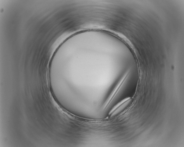X0000073911295200609082203